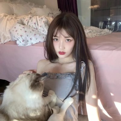 为什么猫都叫不来